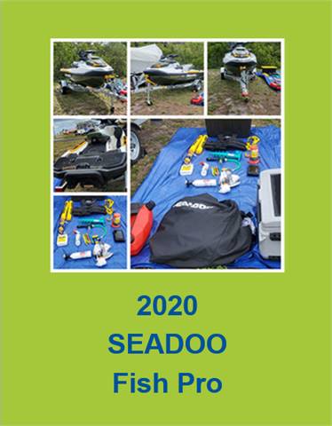 2020 SeaDoo Fish Pro