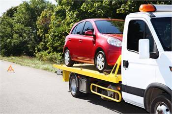 Fast Auto Junking with free LTO run, and Cash Back