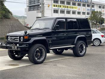 1995 Toyota Land cruiser 70 ZX 