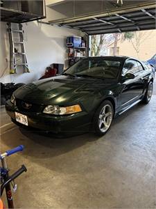 2000 Mustang GT